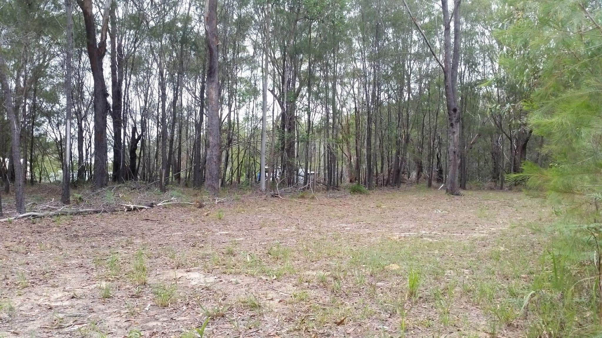 18 Little Cove Road, Russell Island QLD 4184, Russell Island - Image 1