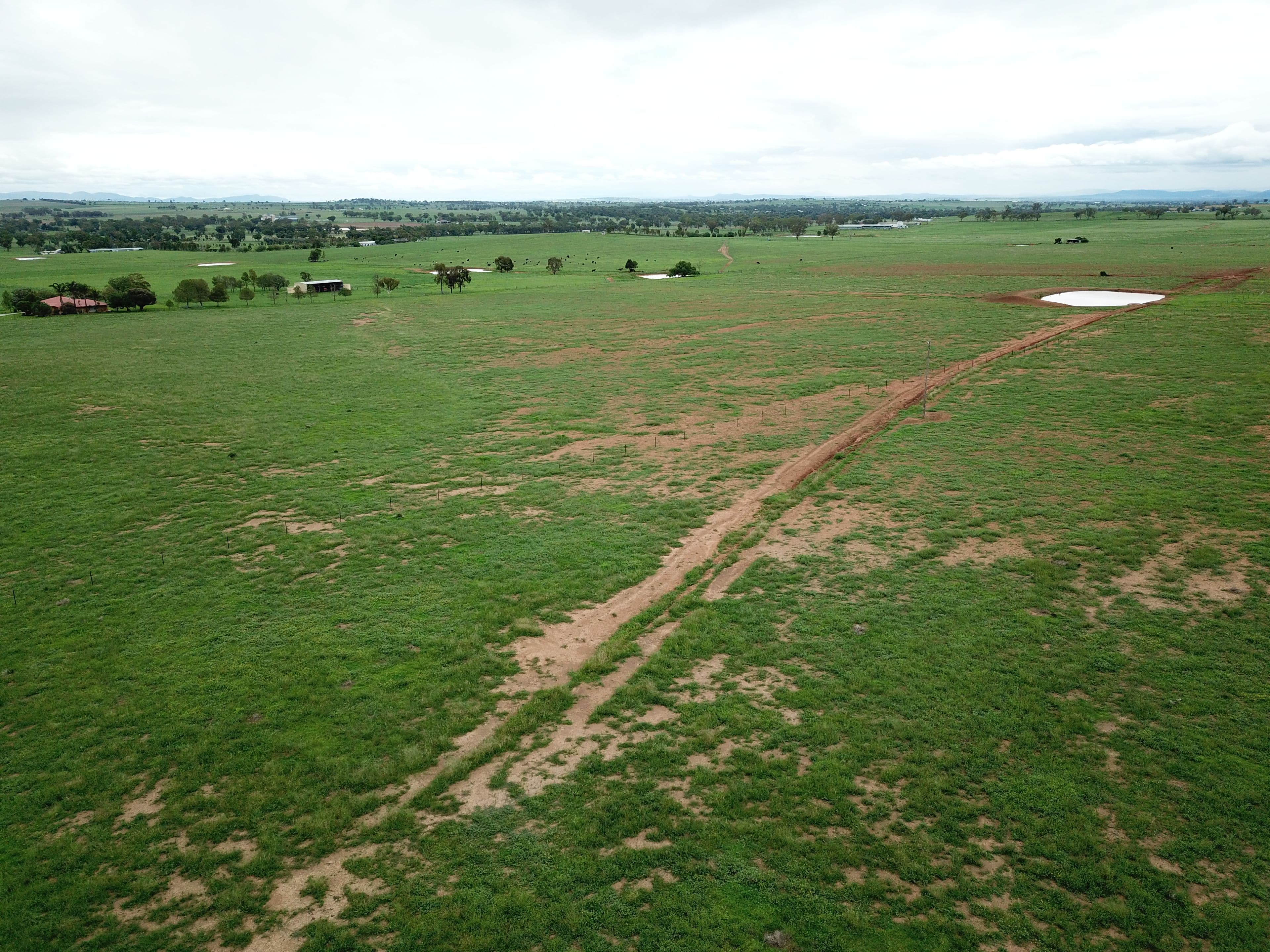 Lot 4234 Meadows Lane, Tamworth NSW 2340, Tamworth - Image 1