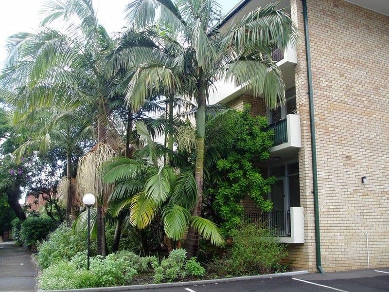 8 Brunswick Parade, ASHFIELD NSW 2131, Ashfield - Image 1