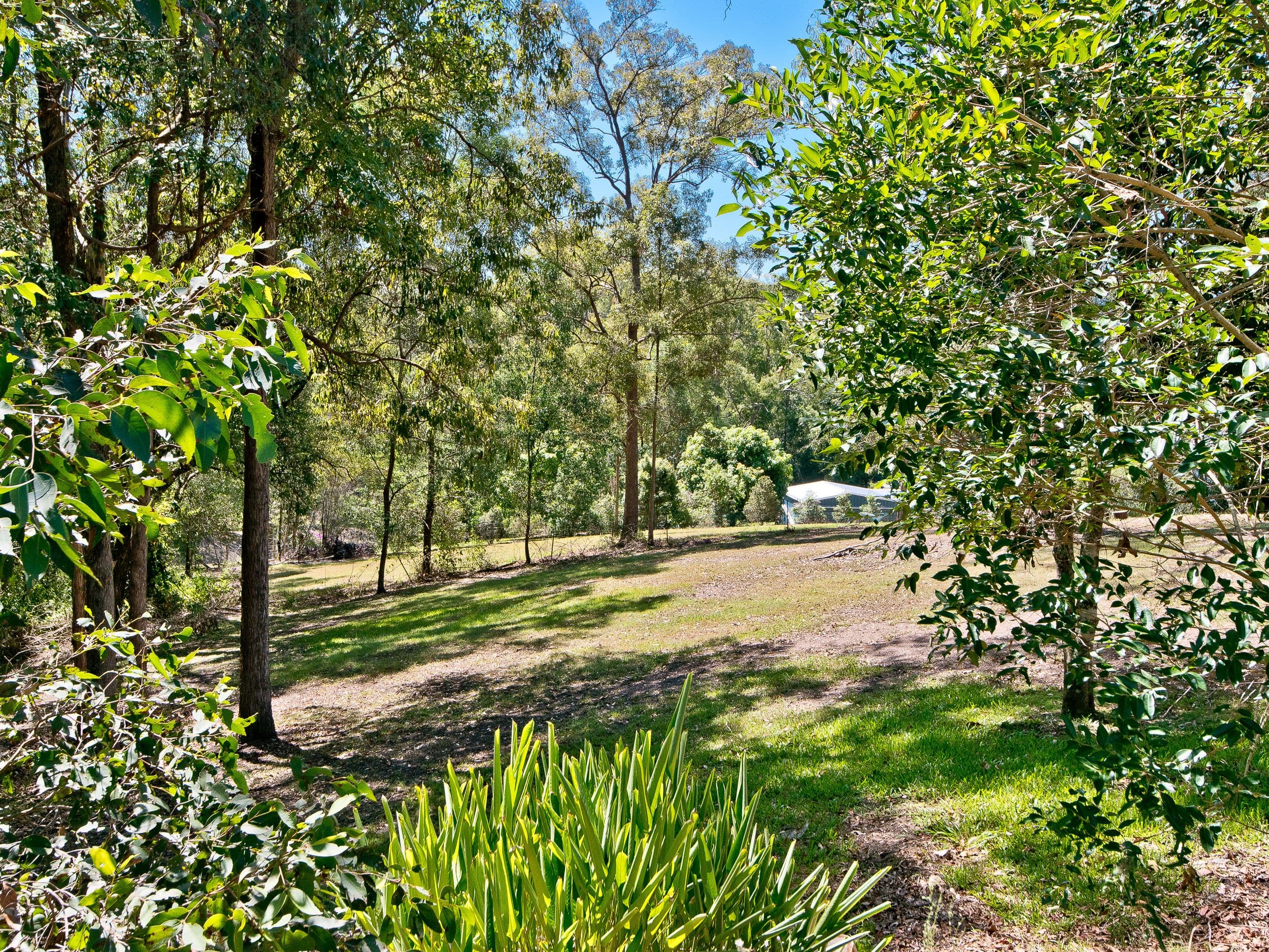 52 Juffs Road, Dayboro QLD 4521, Dayboro - Image 1