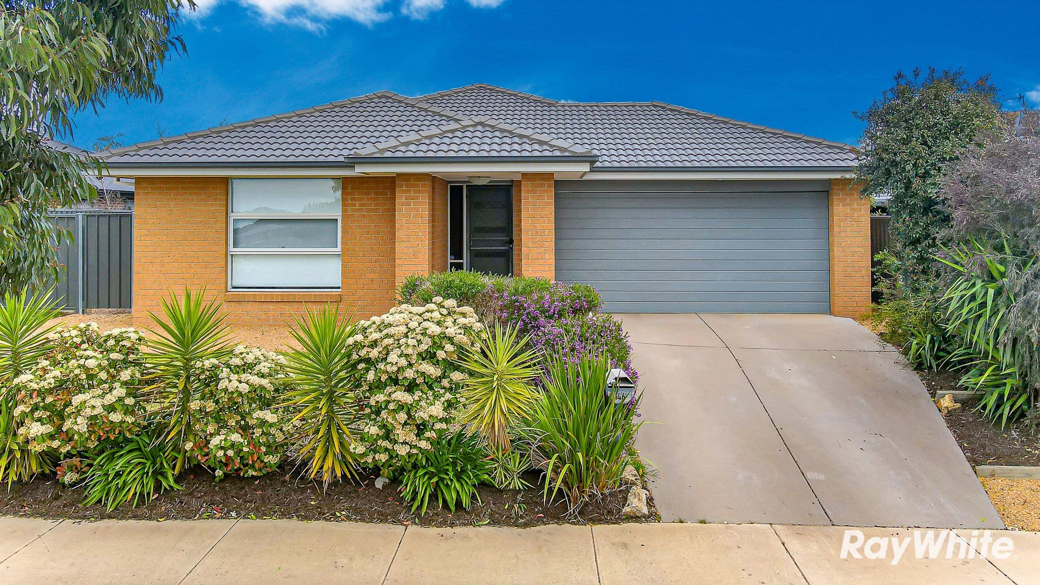 146 Sawmill Road, Huntly VIC 3551, Huntly - Image 1