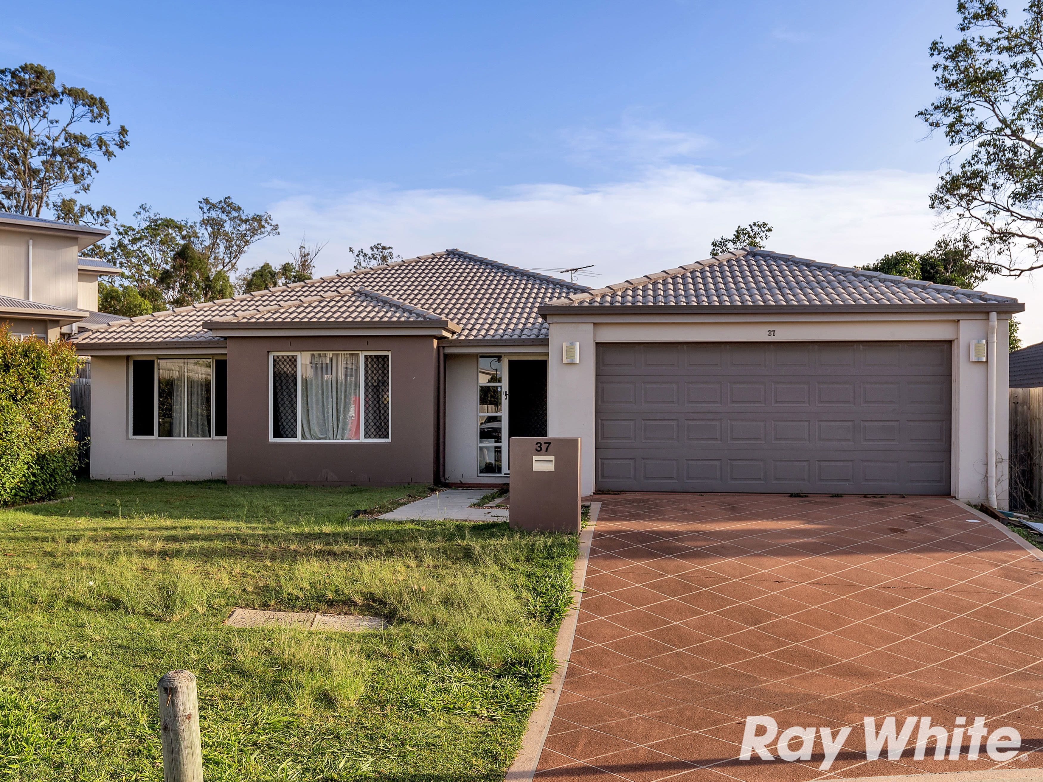 37 Nabeel Place, Calamvale QLD 4116, Calamvale - Image 1