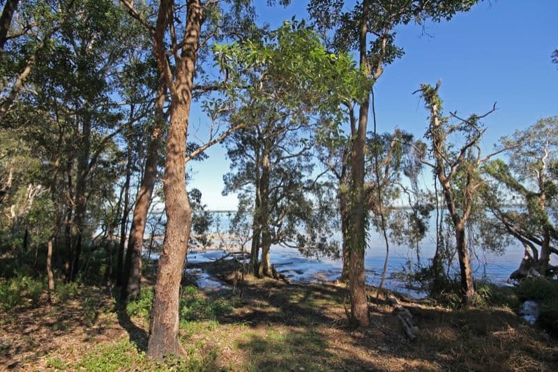 WHITE PATCH QLD 4507, White Patch - Image 1