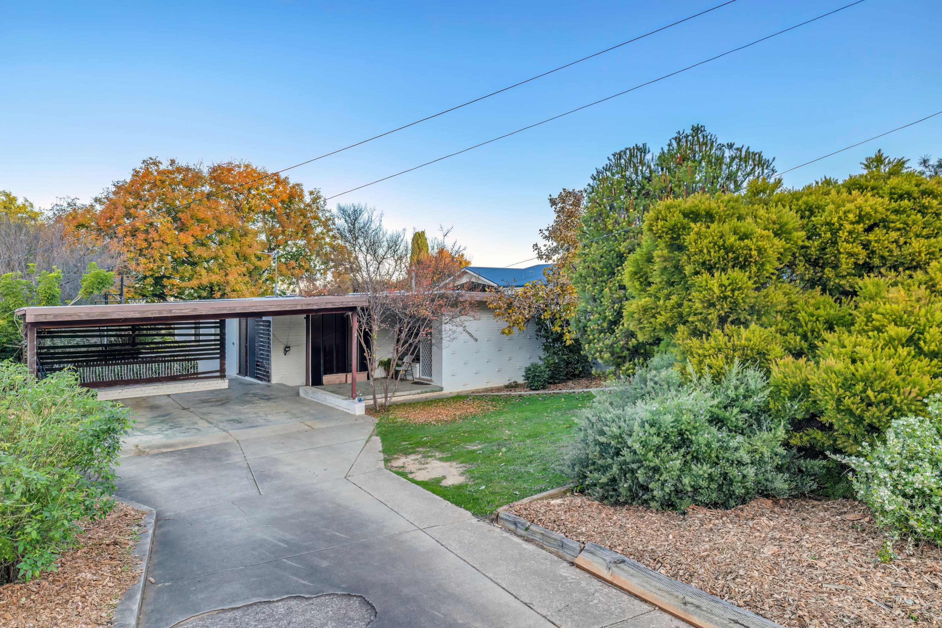 81 Meadow Street, Kooringal NSW 2650, Kooringal - Image 1