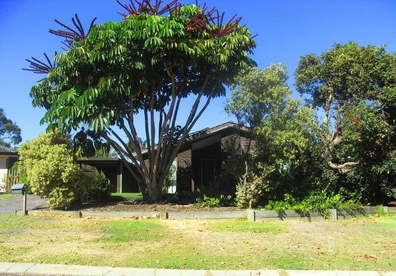10 Ayton Way, DUNCRAIG WA 6023, Duncraig - Image 1