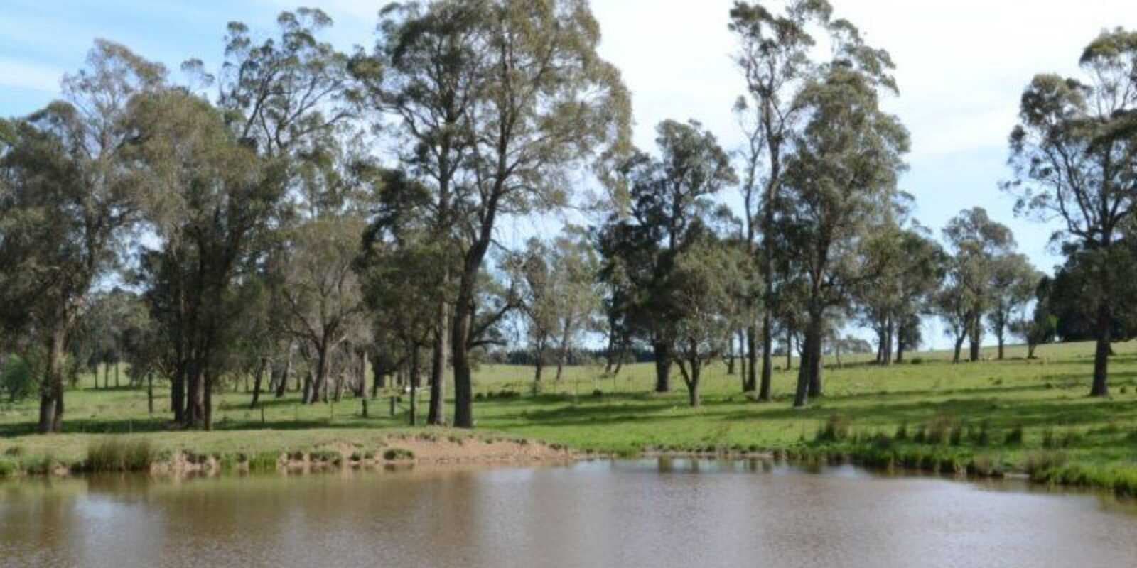 Illawarra Highway Avoca, Avoca - Image 1