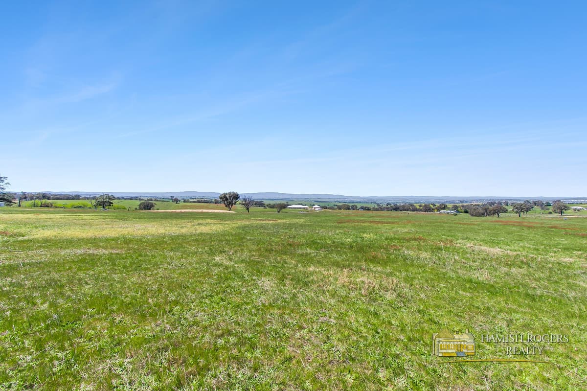 399 Mount Rankin Road, Mount Rankin, NSW, Mount Rankin - Image 1