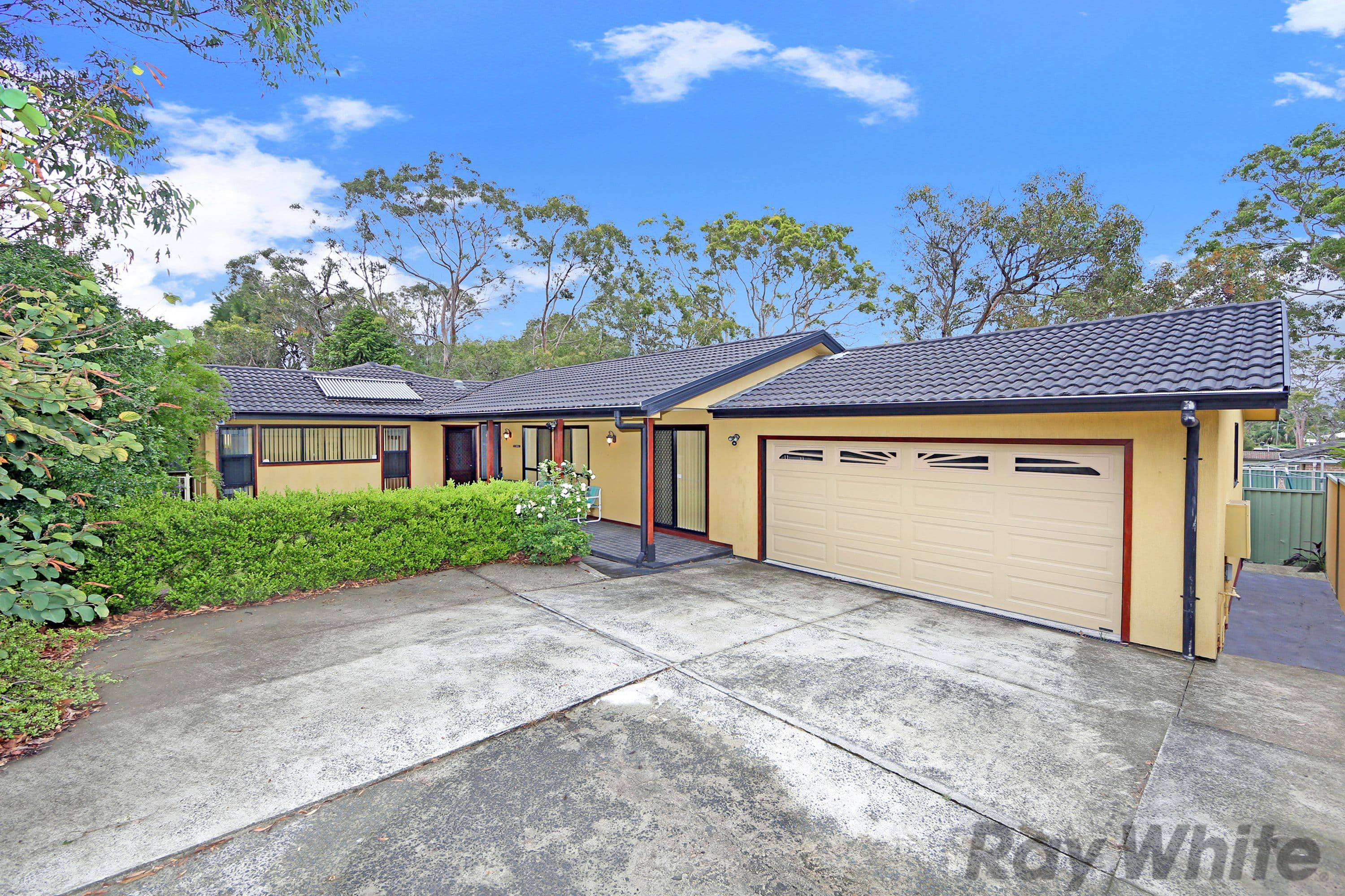 20 Elouera Avenue, Buff Point - Image 1