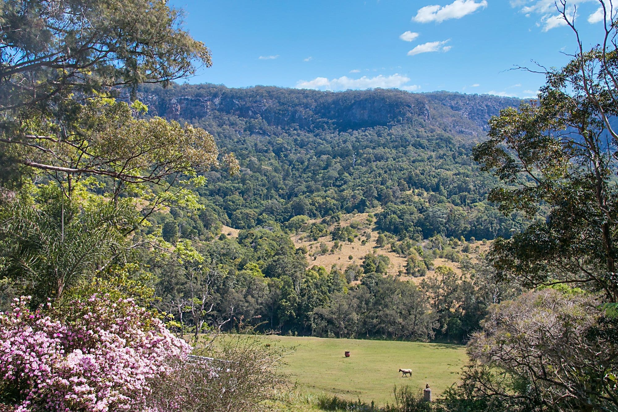 2935 Nerang-Murwillumbah Road, Natural Bridge QLD 4211, Natural Bridge - Image 1