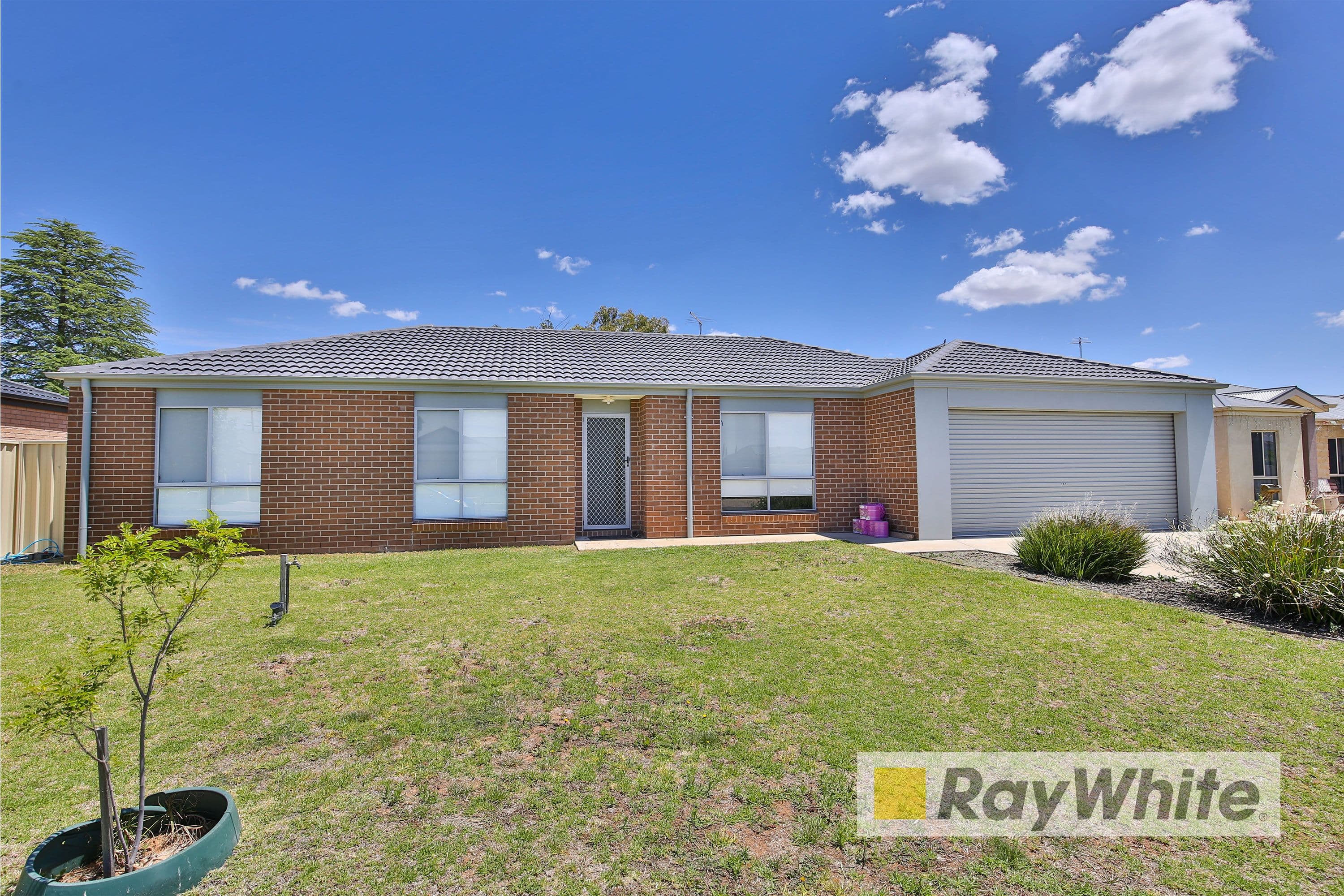 1 Chardonnay Drive, Mildura VIC 3500, Mildura - Image 1