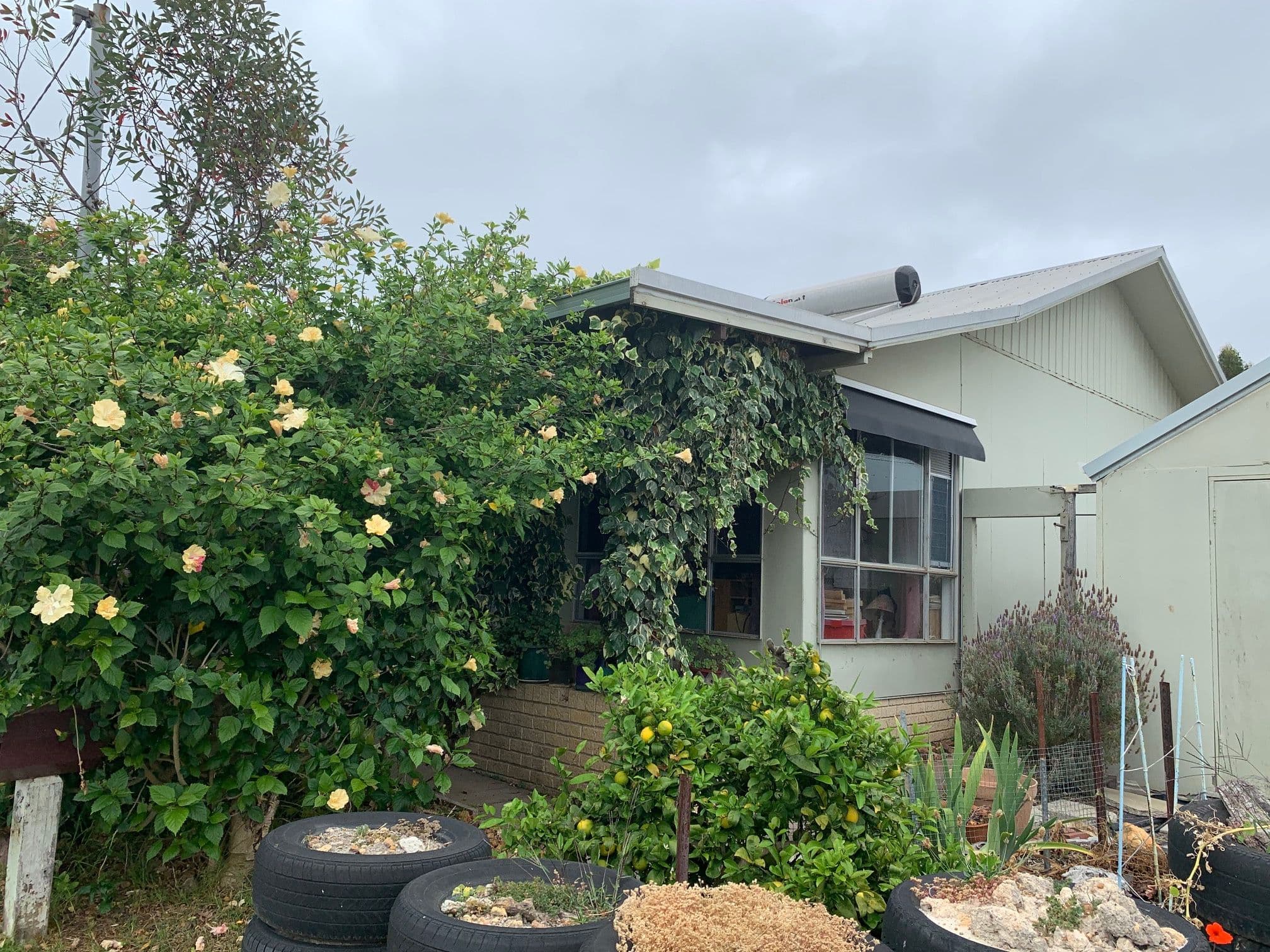 8 Short Street, Denmark WA 6333, Denmark - Image 1