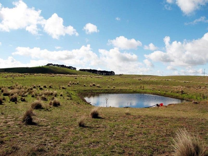 - Mt Fairy Road, BUNGENDORE NSW 2621, Bungendore - Image 1