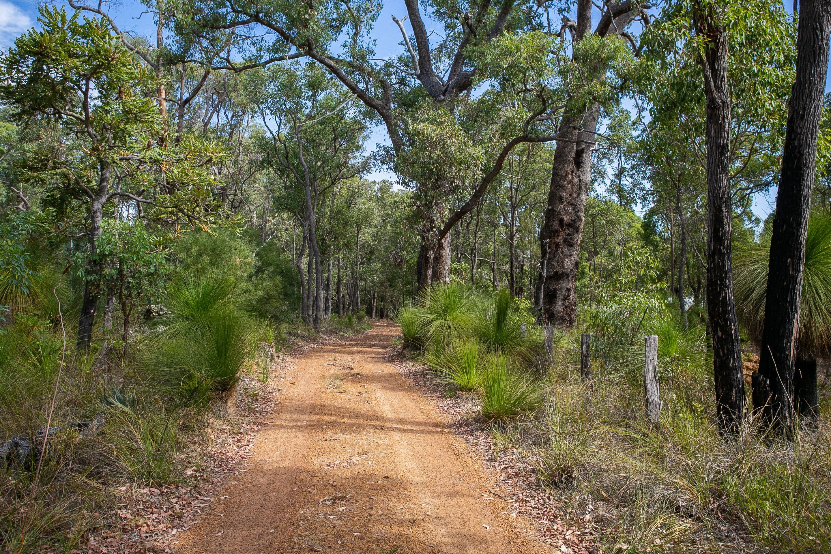 235 Naranga Place, Stoneville WA 6081, Stoneville - Image 1