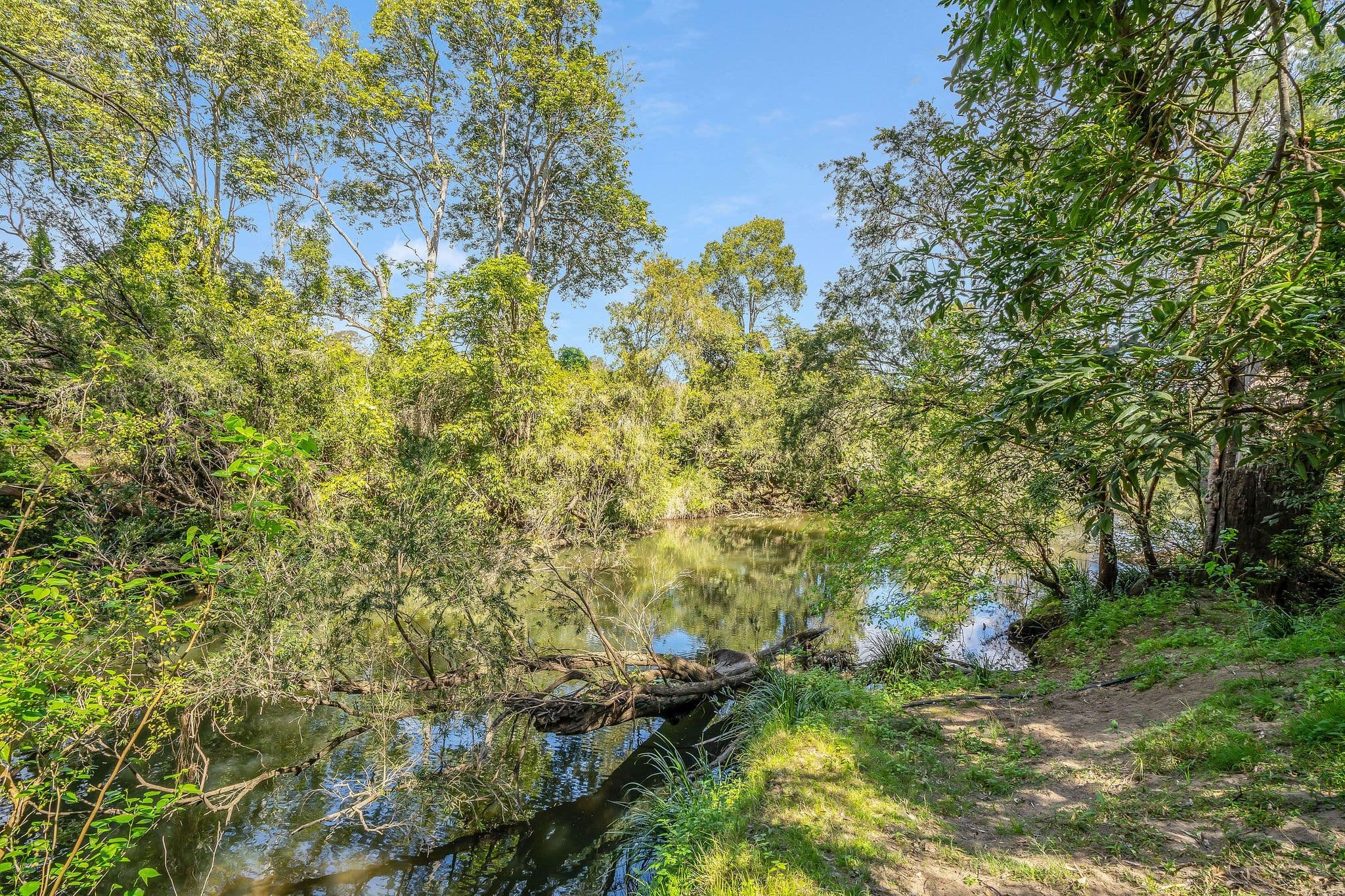 541-549 Plunkett Road, Cedar Creek QLD 4207, Cedar Creek - Image 1