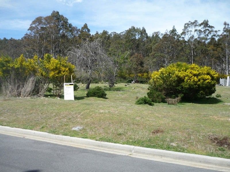 12 Lee Street, ROSSARDEN TAS 7213, Rossarden - Image 1
