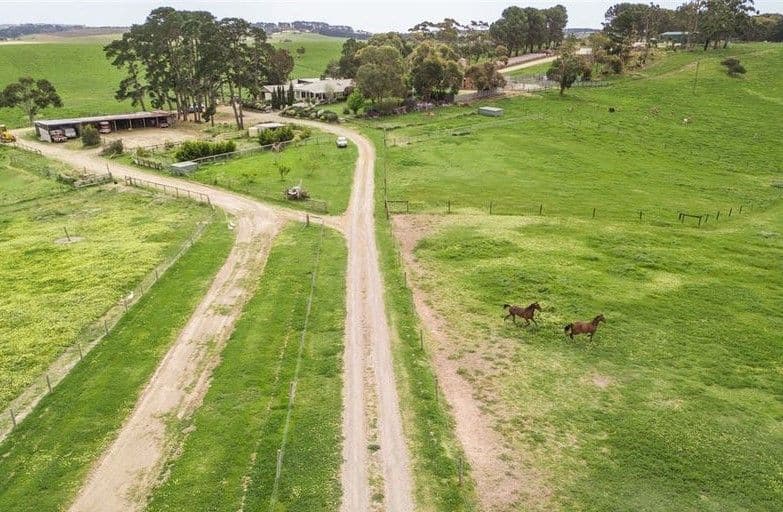 97 Trig Point Road, Mosquito Hill SA 5214, Mosquito Hill - Image 1