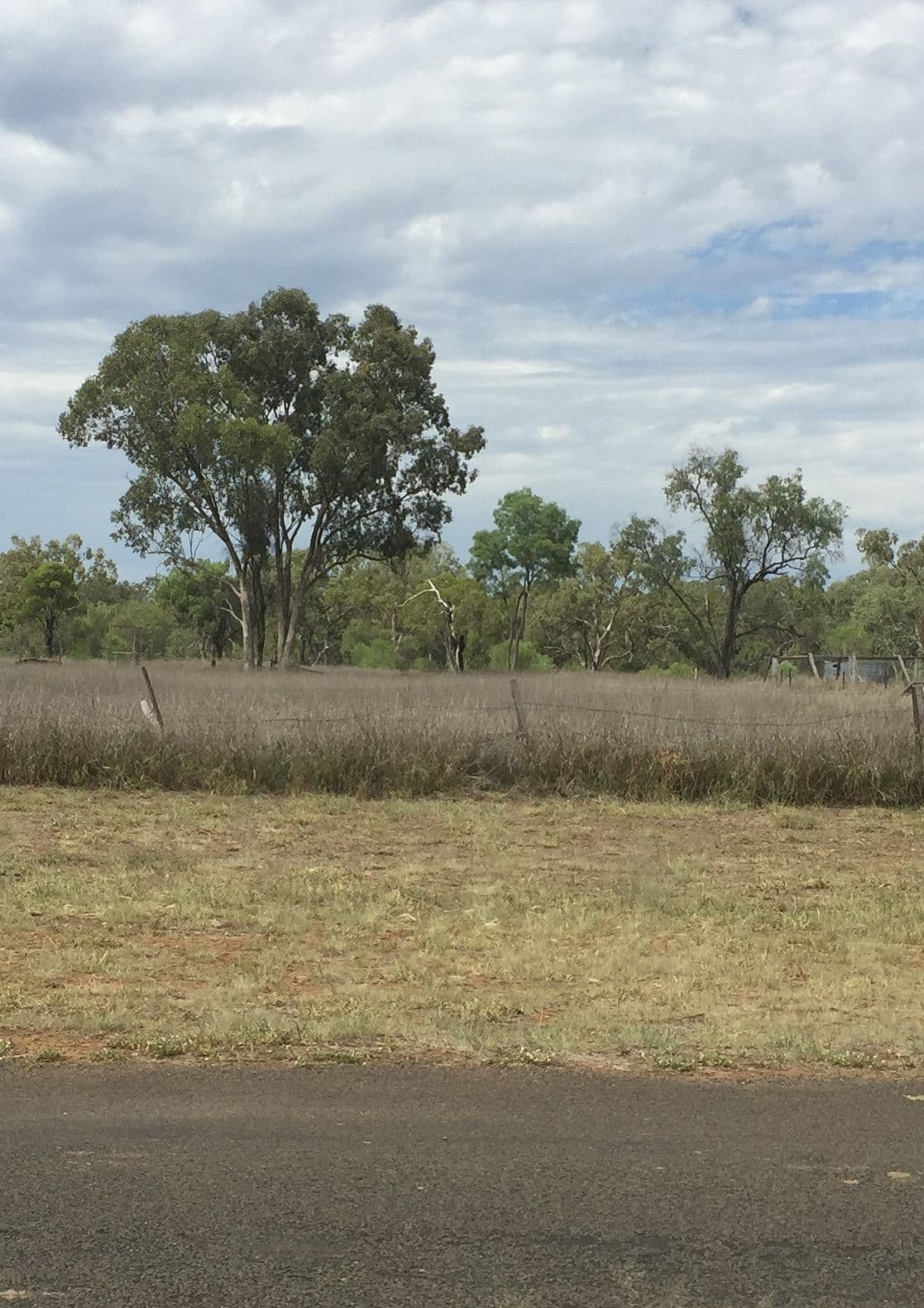 Lot 302, 11 Creek Street, Amby QLD 4462, Amby - Image 1