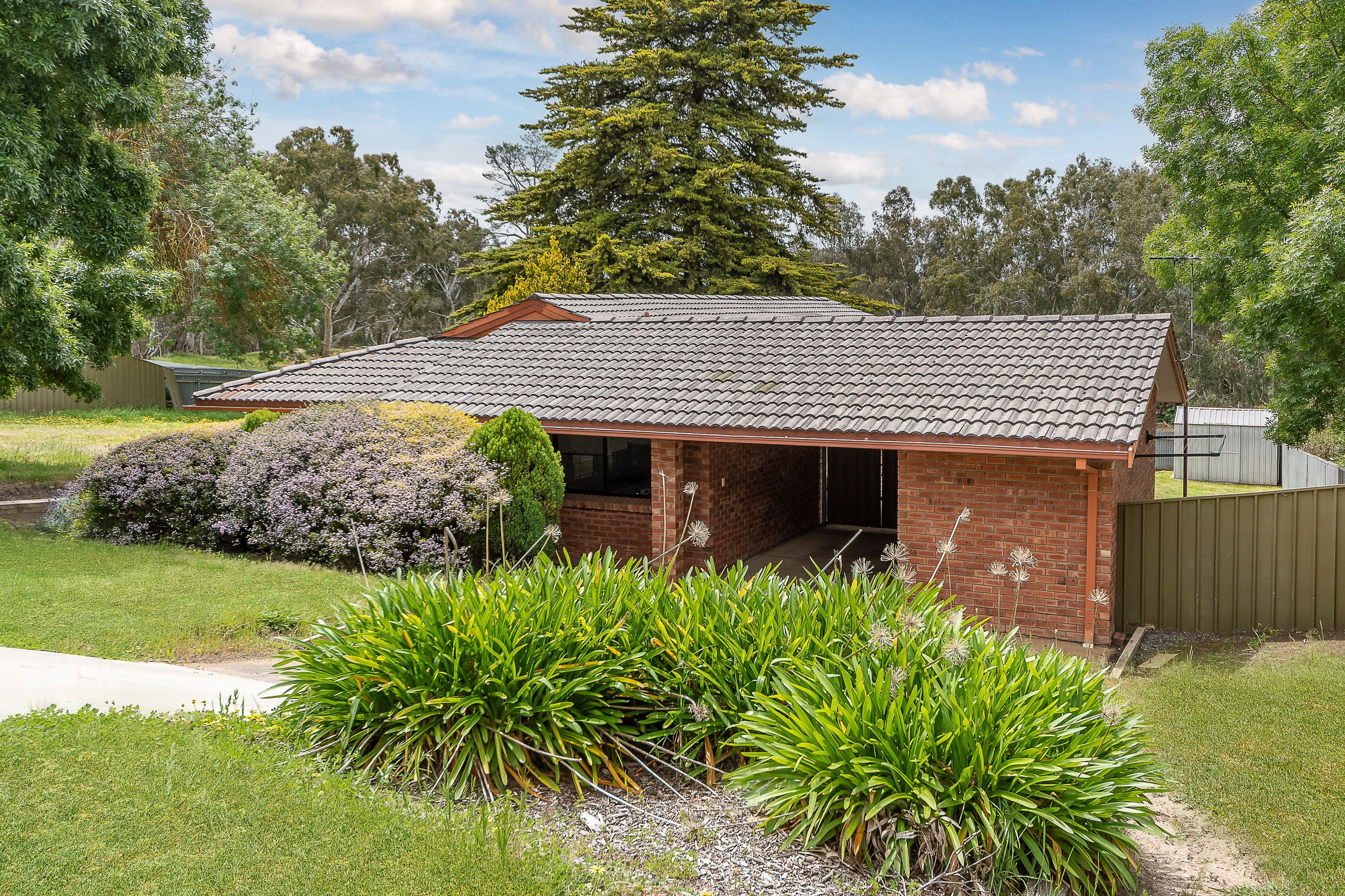 24 Caledonia Avenue, Woodside SA 5244, Woodside - Image 1