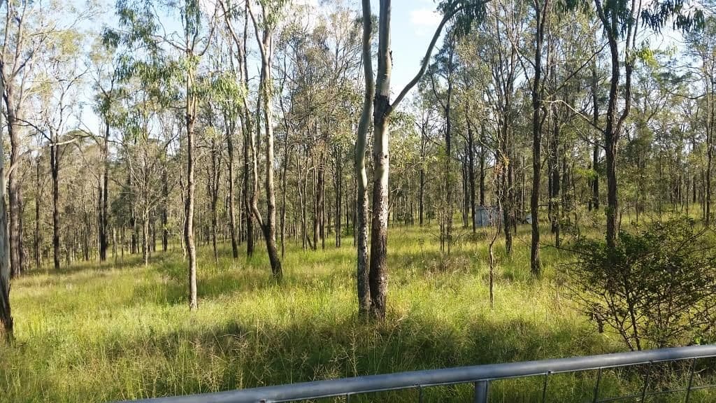 Lot 19 Brazier Road, Runnymede QLD 4615, Runnymede - Image 1