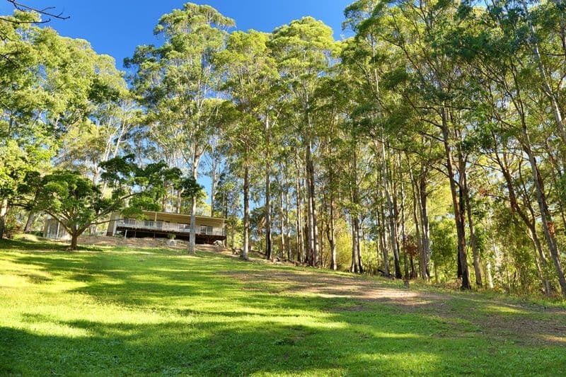 240 Mons Road, FOREST GLEN QLD 4556, Forest Glen - Image 1