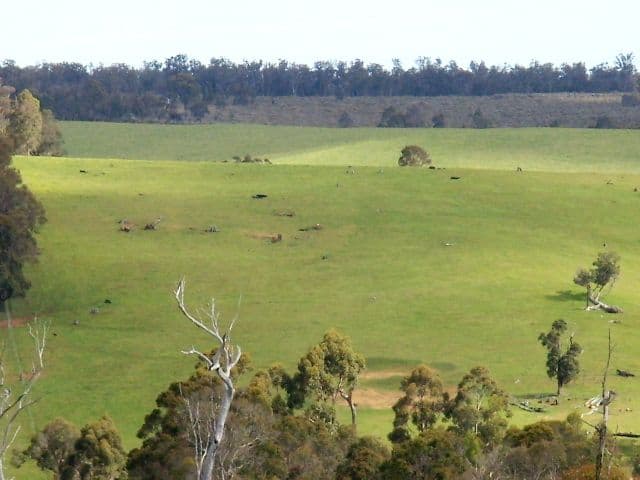 Lot 20 McKittrick Road, NANNUP WA 6275, Nannup - Image 1