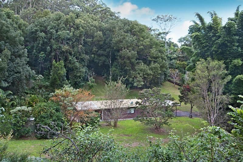 11 Waterlily Close, MURWILLUMBAH NSW 2484, Murwillumbah - Image 1