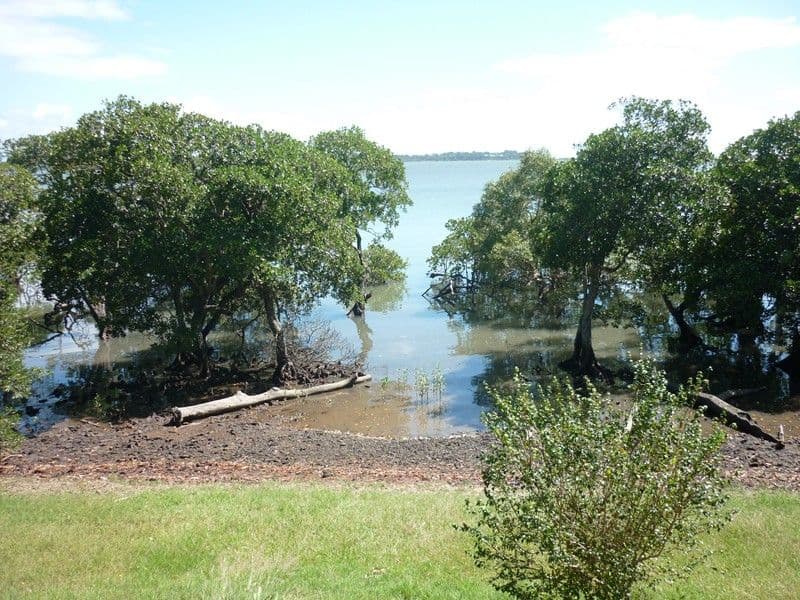 59 Canaipa Point Drive, RUSSELL ISLAND QLD 4184, Russell Island - Image 1