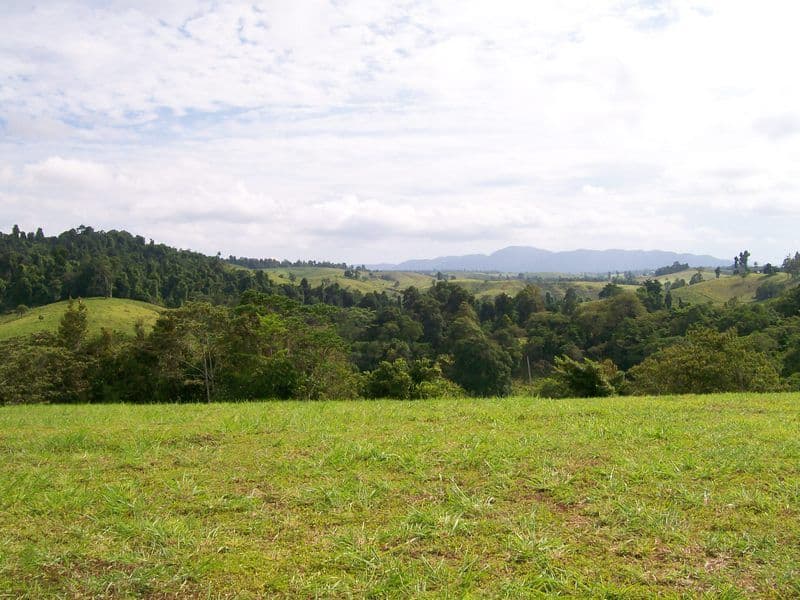 Lot 6 Rainforest Falls Road, Coorumba QLD 4860, Coorumba - Image 1