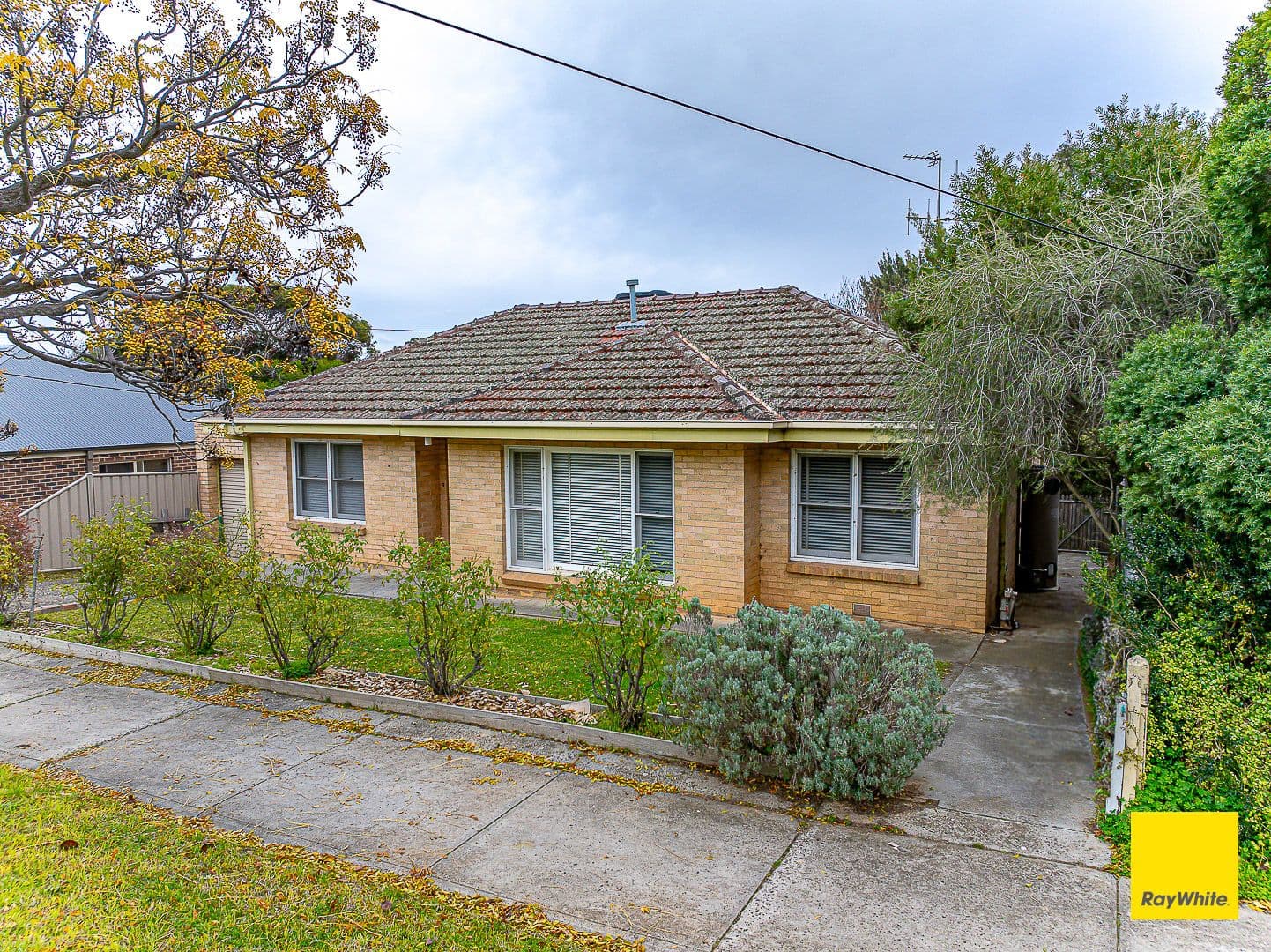 11 Lobb Street, North Bendigo VIC 3550, North Bendigo - Image 1