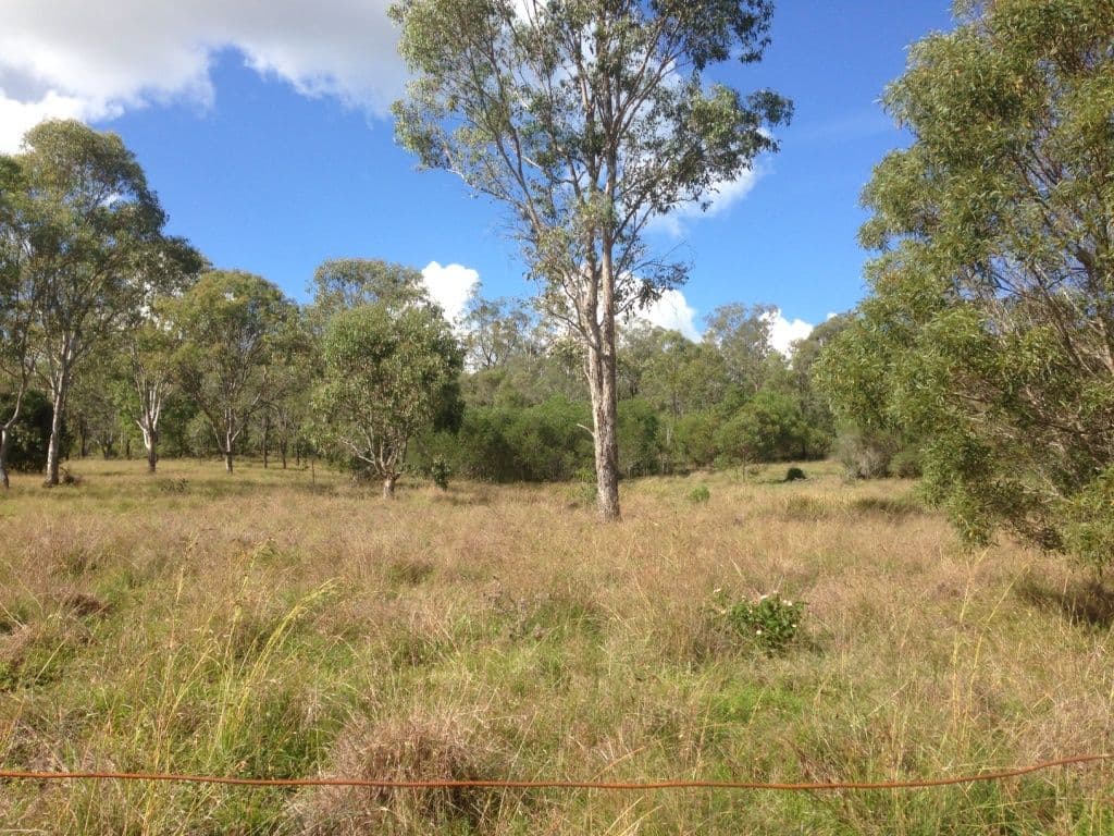 56 Home Street, NANANGO QLD 4615, Nanango - Image 1