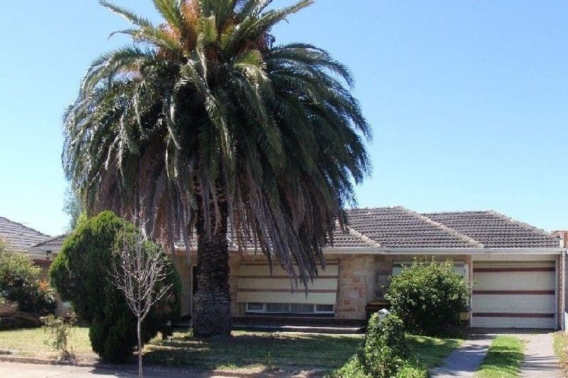 315 Marion Road, NORTH PLYMPTON SA 5037, North Plympton - Image 1