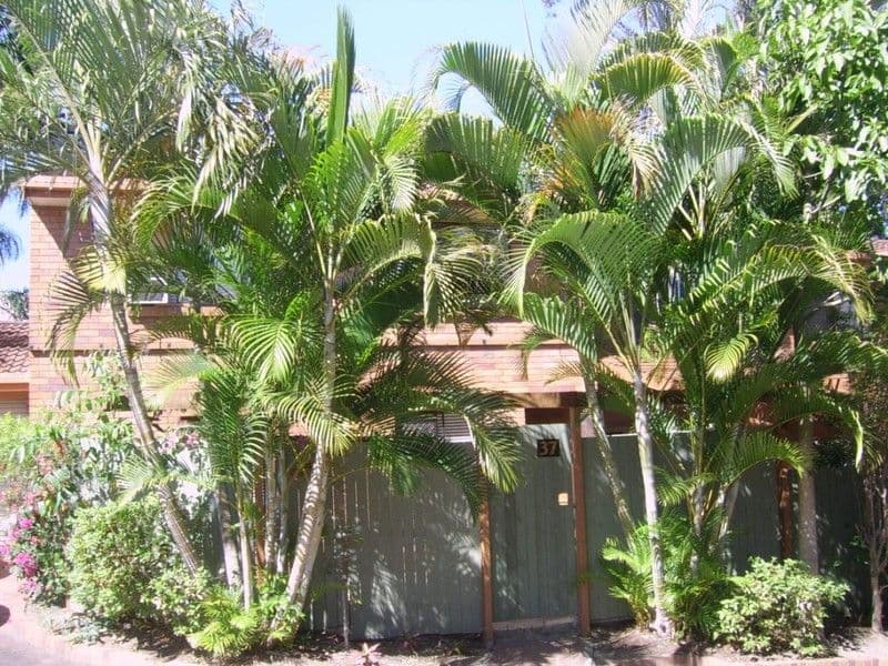 111 Barbaralla Drive, SPRINGWOOD QLD 4127, Springwood - Image 1