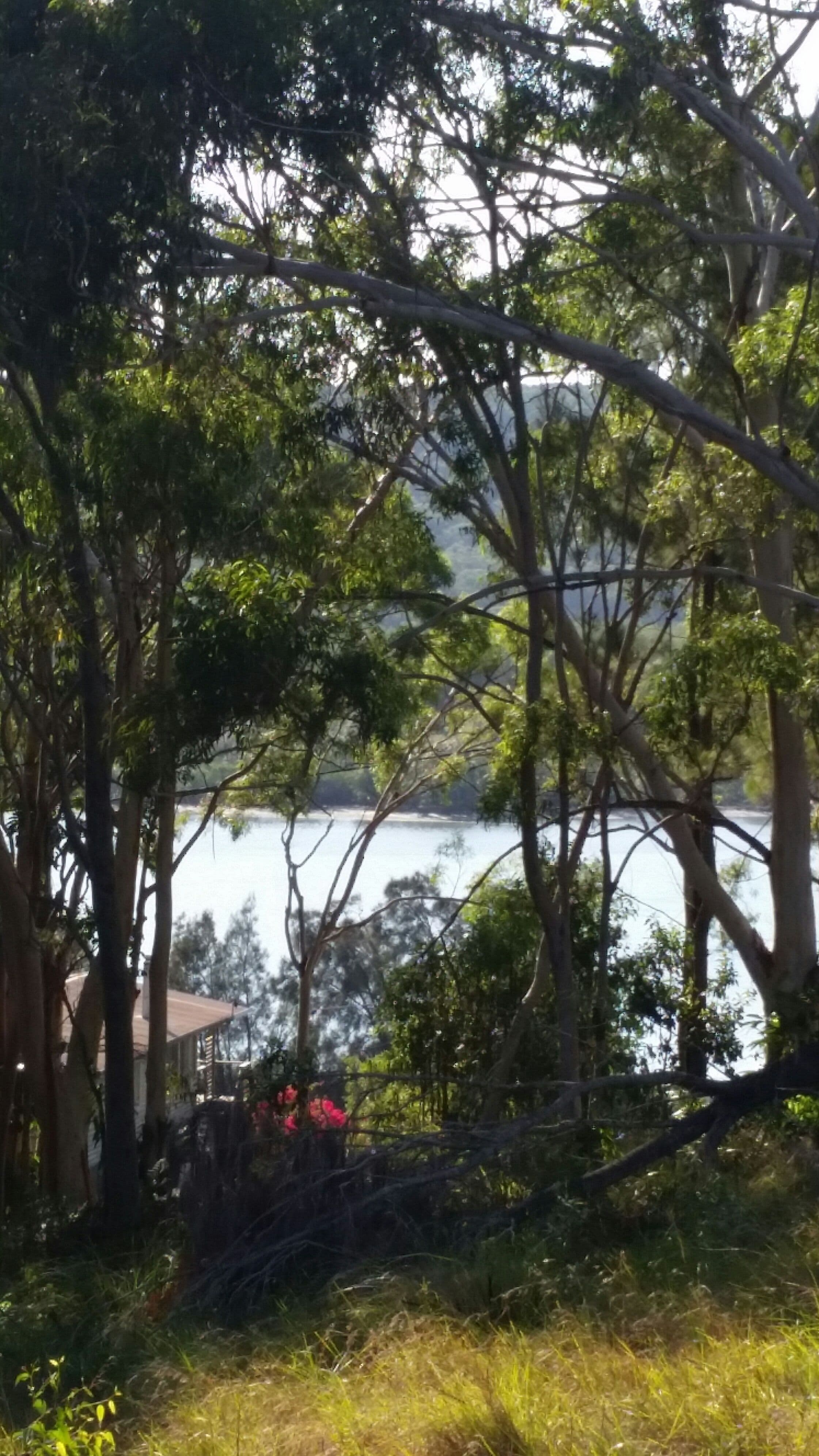 87 Highland Ridge Road, Russell Island QLD 4184, Russell Island - Image 1