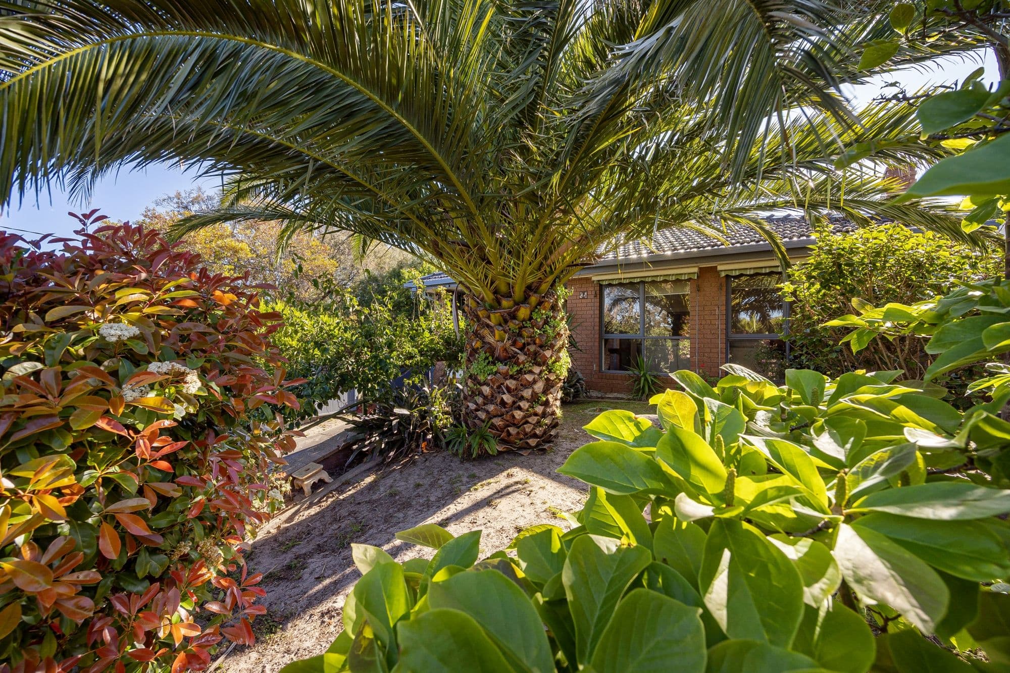 34 Chatfield Avenue, Capel Sound VIC 3940, Capel Sound - Image 1