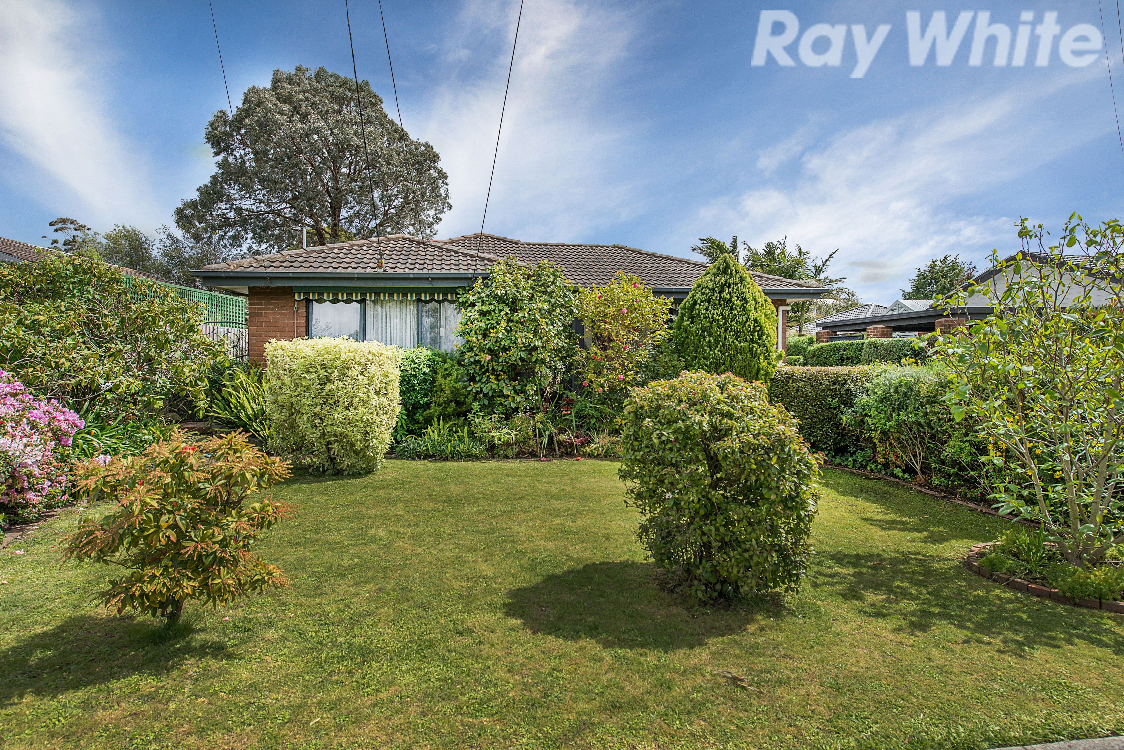 7 Ferguson Court, Ferntree Gully VIC 3156, Ferntree Gully - Image 1