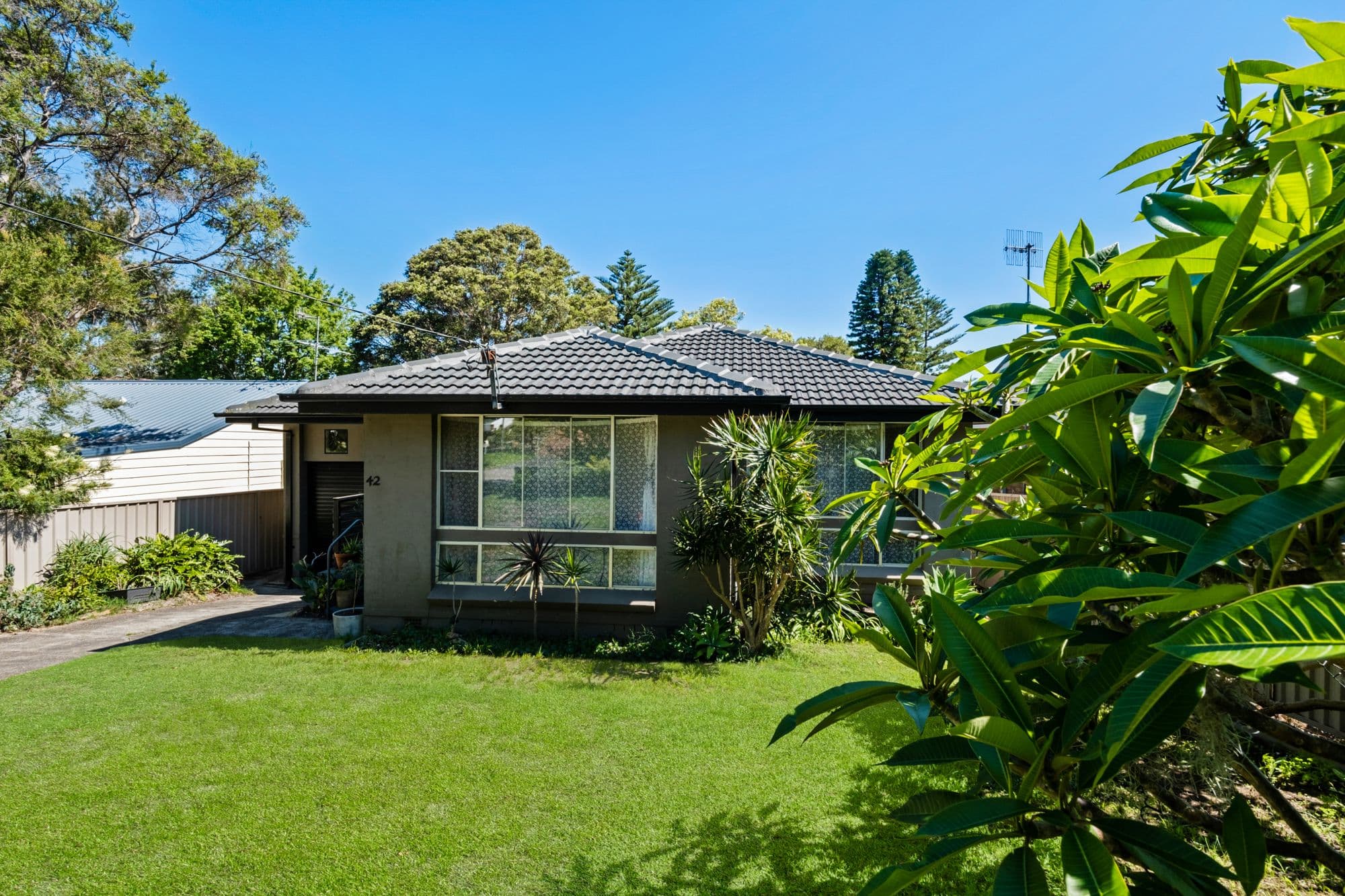 42 Albatross Road, Berkeley Vale NSW 2261, Berkeley Vale - Image 1
