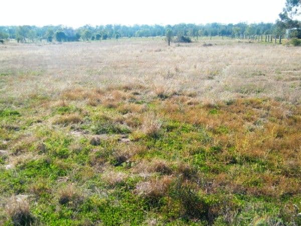 Lot Carmichael Street, CHINCHILLA QLD 4413, Chinchilla - Image 1