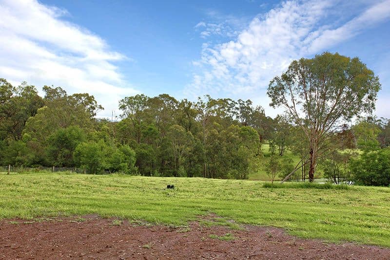 155 Grose Wold Road, GROSE WOLD NSW 2753, Grose Wold - Image 1