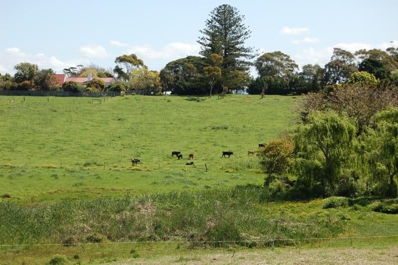 GERRINGONG NSW 2534, Gerringong - Image 1