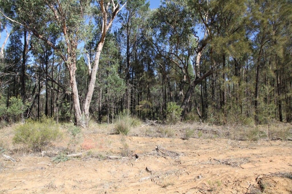 214 Foxglen Lane, NARRABRI NSW 2390, Narrabri - Image 1