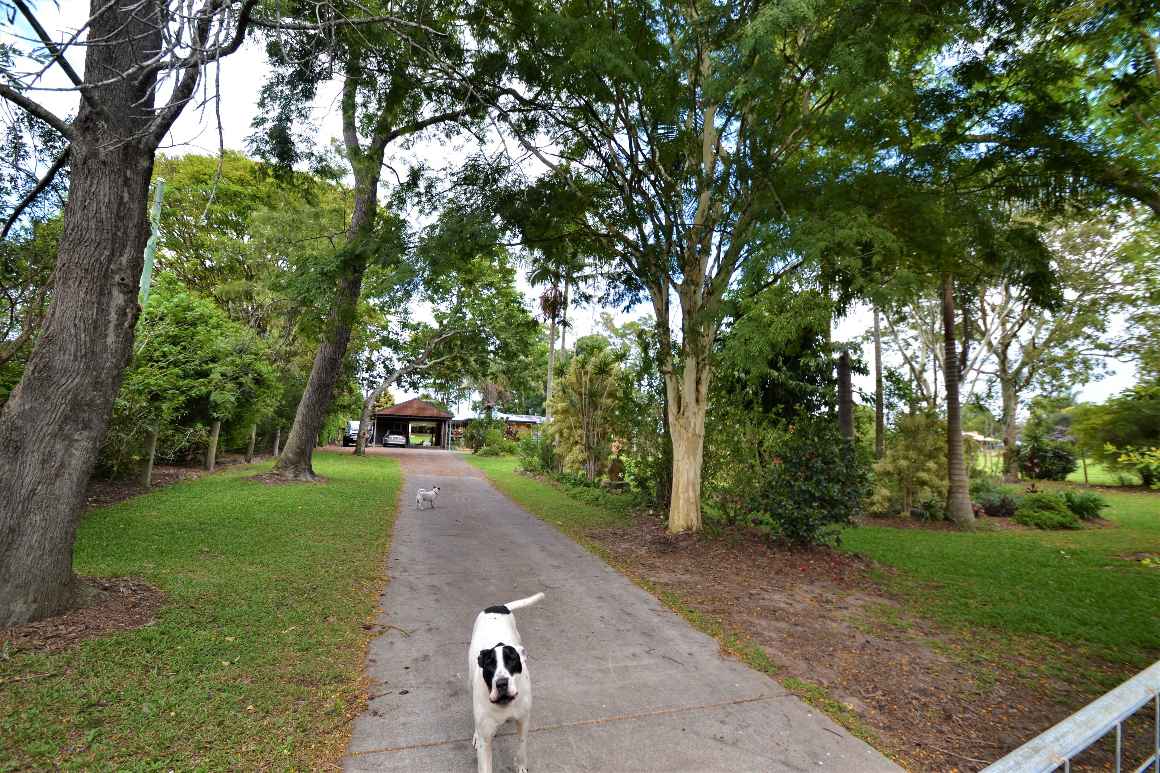 54 Mountain Vista Drive, Glass House Mountains QLD 4518, Glass House Mountains - Image 1