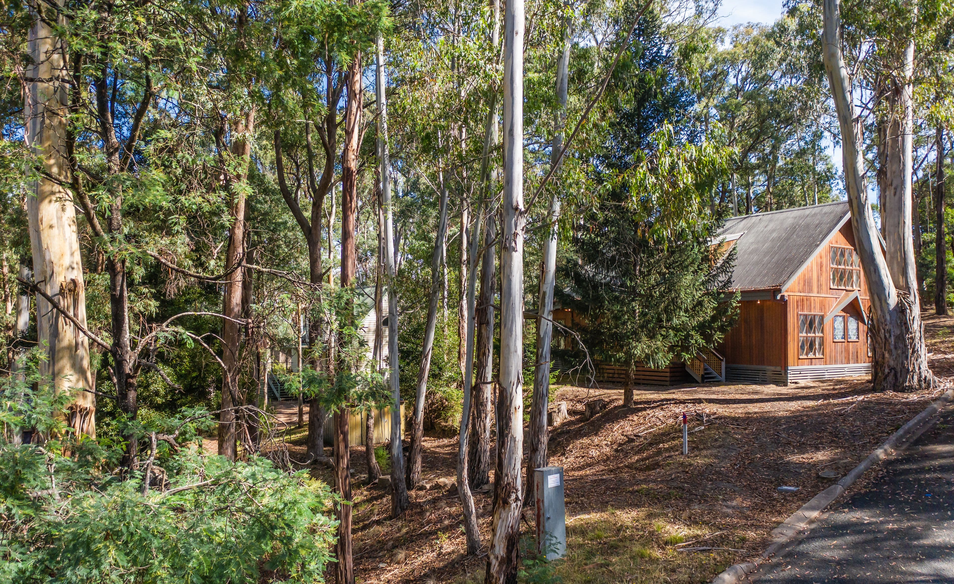 3 Gibbs Court, Sawmill Settlement VIC 3723, Sawmill Settlement - Image 1