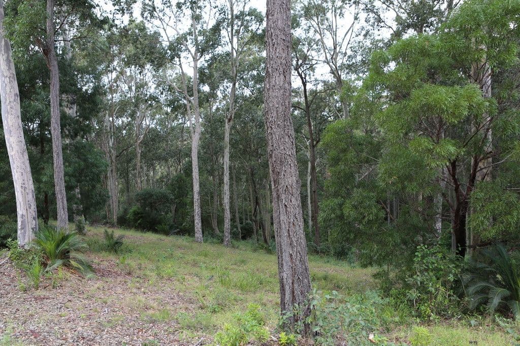 Lot 48 Woodlands Drive, Narooma NSW 2546, Narooma - Image 1