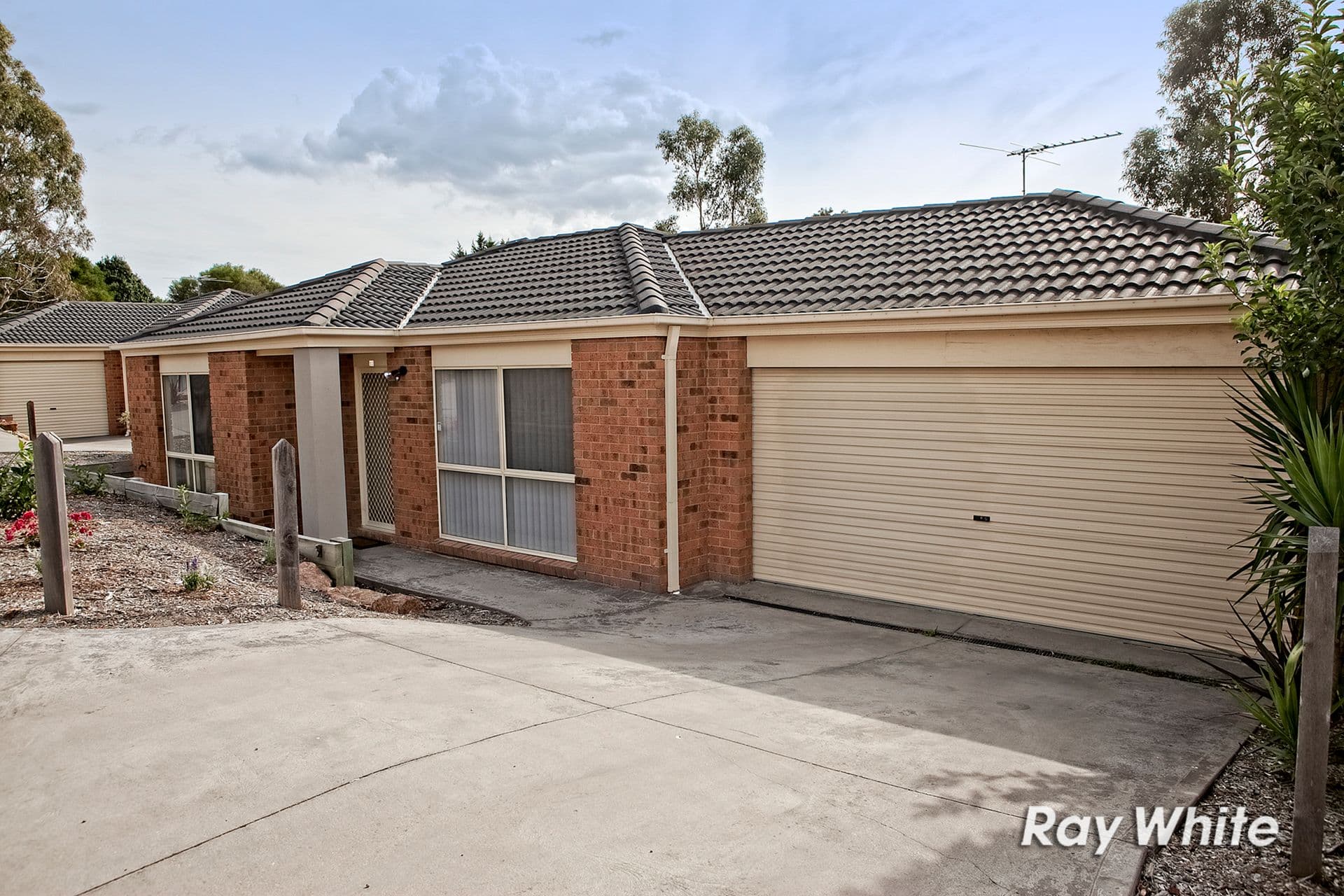 99 Cranhaven Road, Langwarrin VIC 3910, Langwarrin - Image 1