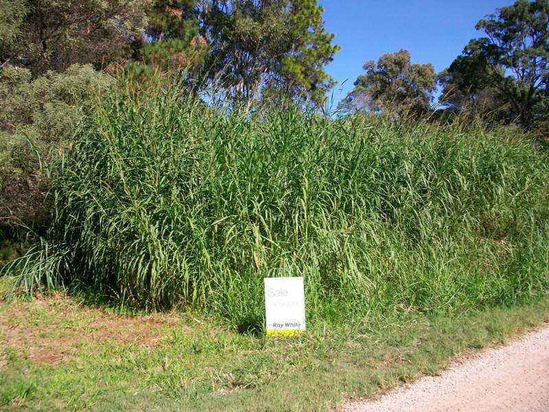 8 Bamboo Road, RUSSELL ISLAND QLD 4184, Russell Island - Image 1