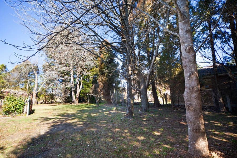 Lot 15 Hat Hill Road, BLACKHEATH NSW 2785, Blackheath - Image 1