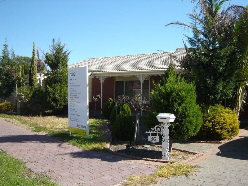 36 Frank Street, Newton SA 5074, Newton - Image 1