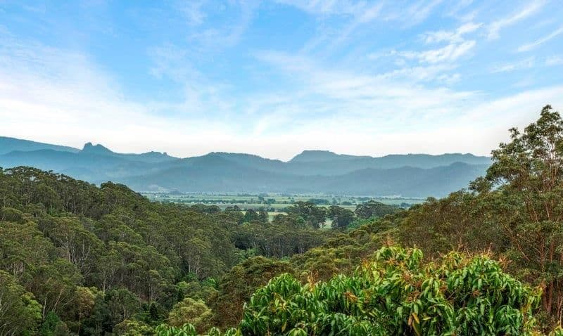 445 Clothiers Creek Road, Nunderi NSW 2484, Nunderi - Image 1