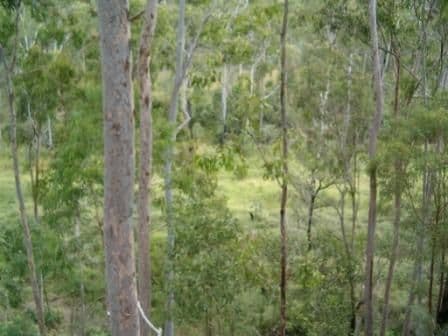 UPPER LOCKYER QLD 4352, Upper Lockyer - Image 1