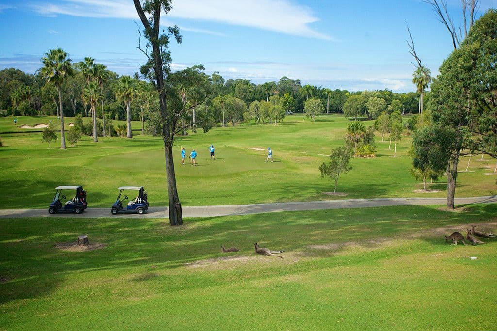 5226 Bay Hill Terrace, Sanctuary Cove QLD 4212, Sanctuary Cove - Image 1